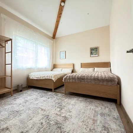 Japandi Villa, Hot Tub, Garden, Smart Home, Near Frankfurt, 10 Guests * Schlüchtern